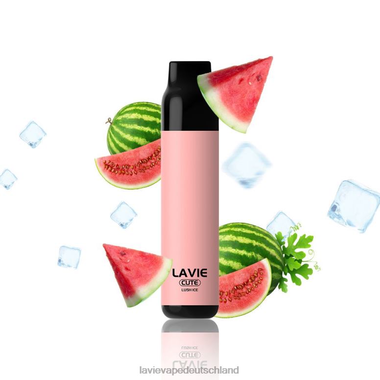 üppiges Eis LAVIE BAR 3000 Züge 8J6P0285 | Lavie E Zigarette