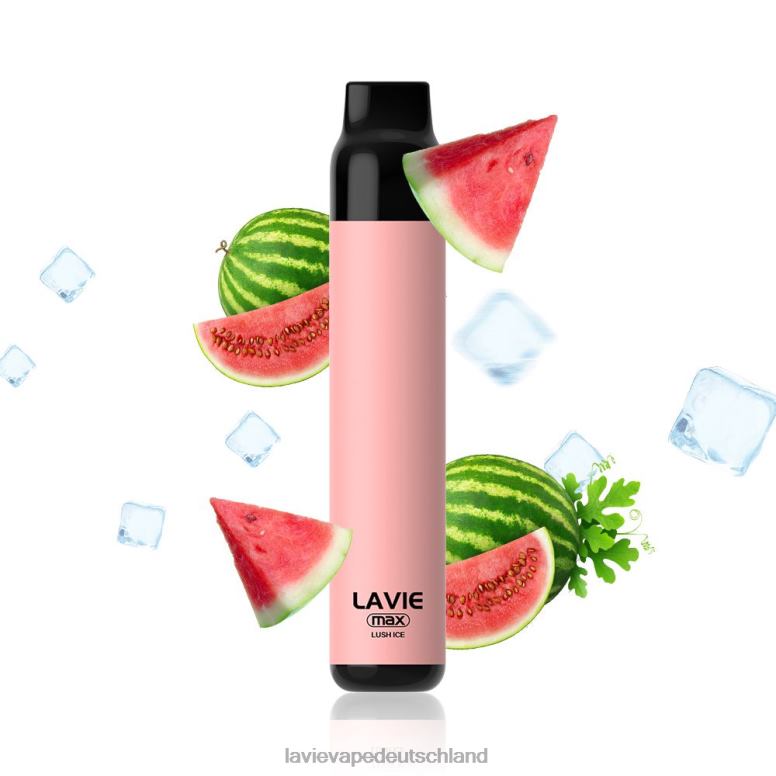 üppiges Eis LAVIE BAR 5000 Züge – max 8J6P0277 | Lavie Vape Deutschland